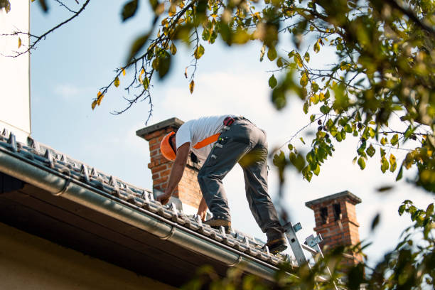 Best Commercial Roofing Services  in Bassett, VA