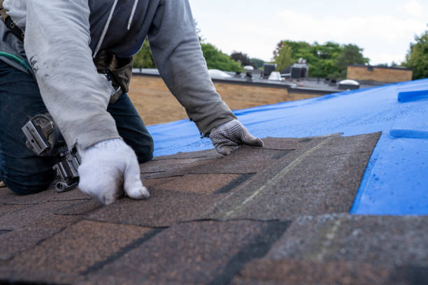 Best Emergency Roof Repair  in Bassett, VA