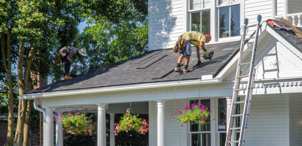 Best Gutter Installation and Roofing  in Bassett, VA